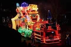 DSC08222