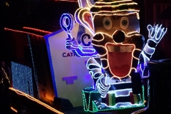 DSC08298
